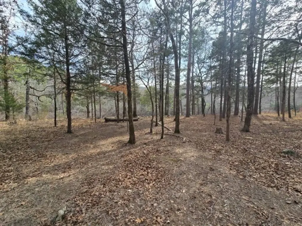 Picture 18
