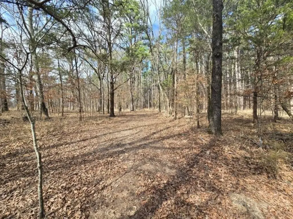 Picture 17