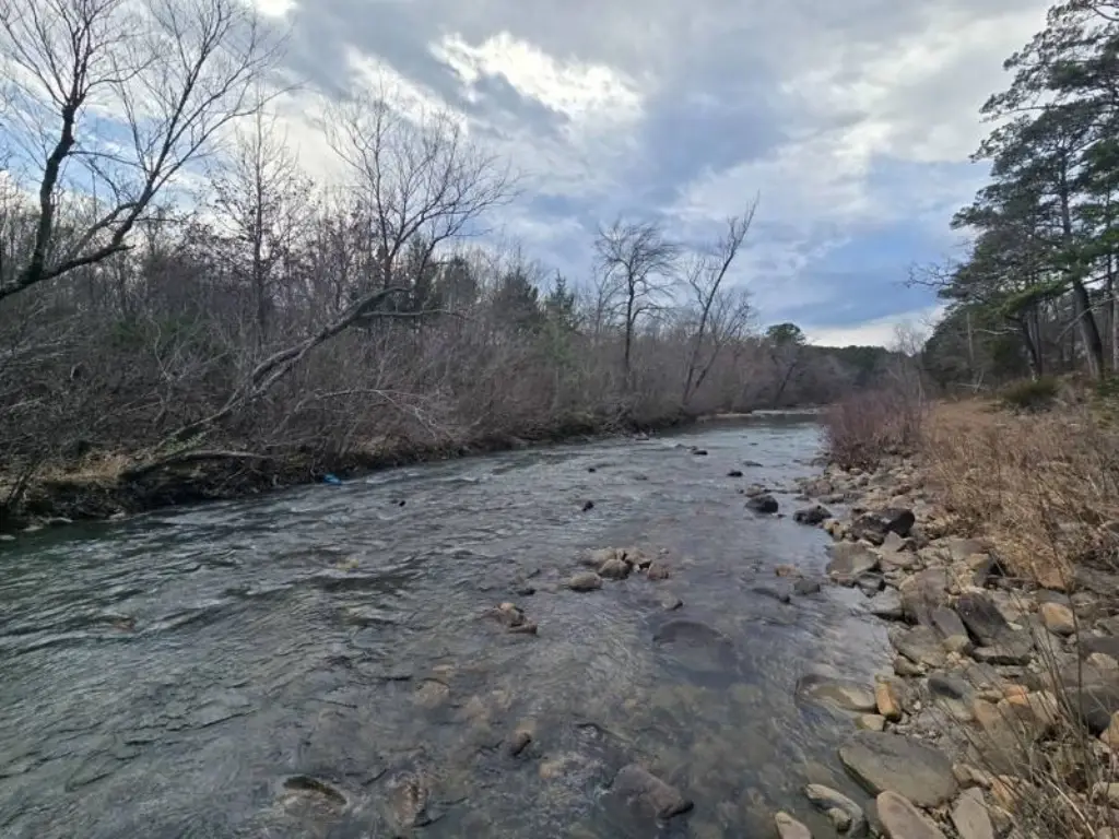 Picture 15