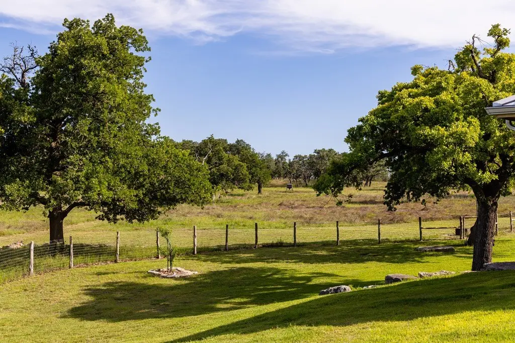 Picture 43