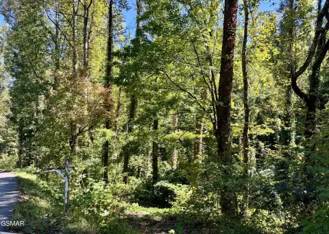 Sevierville Land with Creek