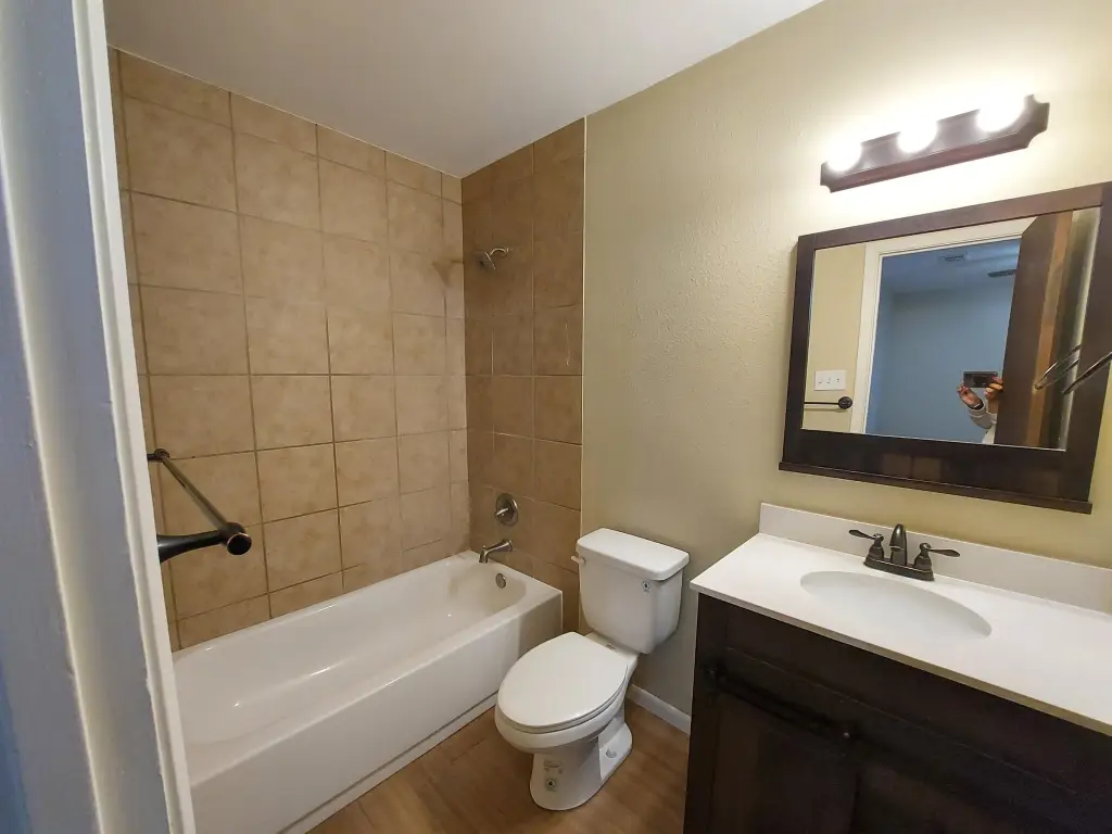 Picture 6