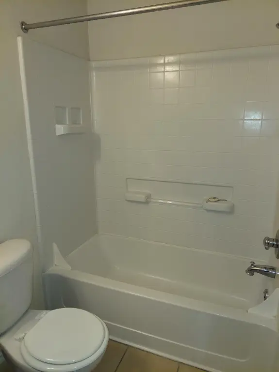 Picture 3