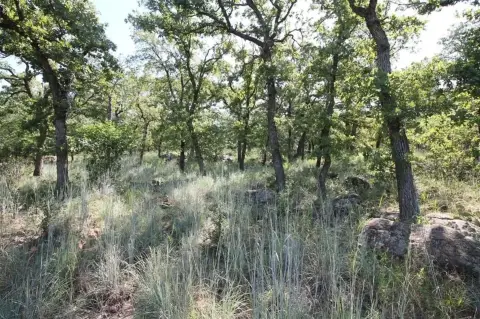 Lake Bridgeport Interior Lot