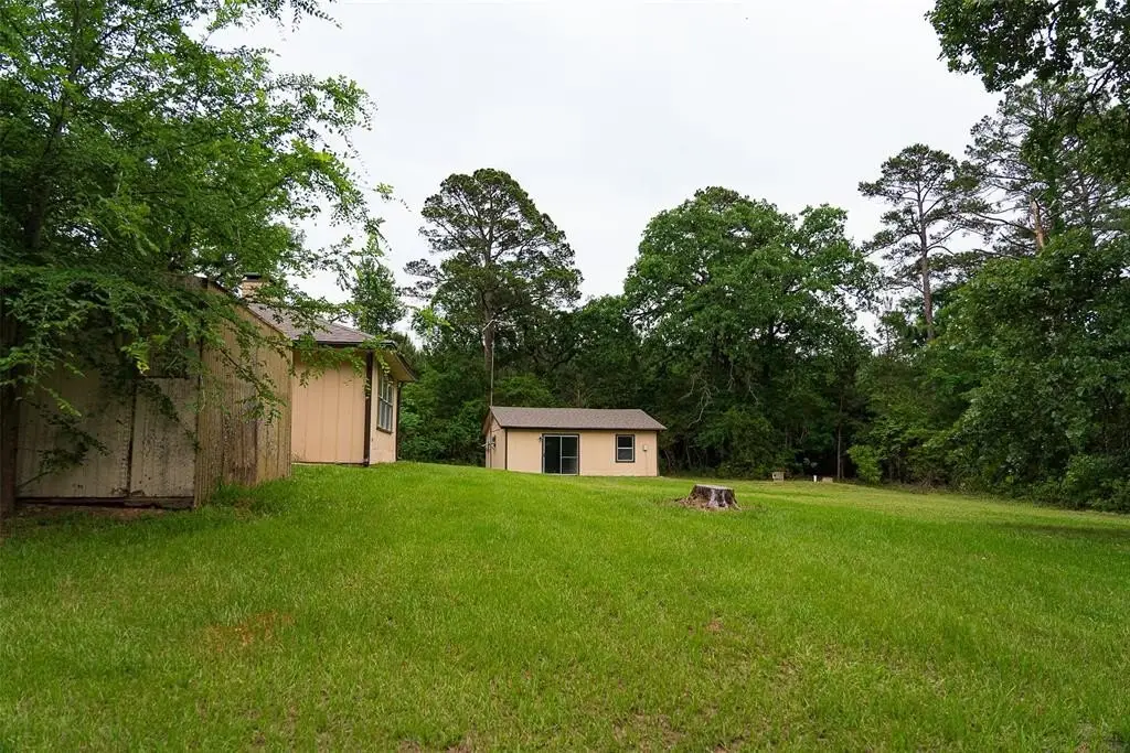Picture 19