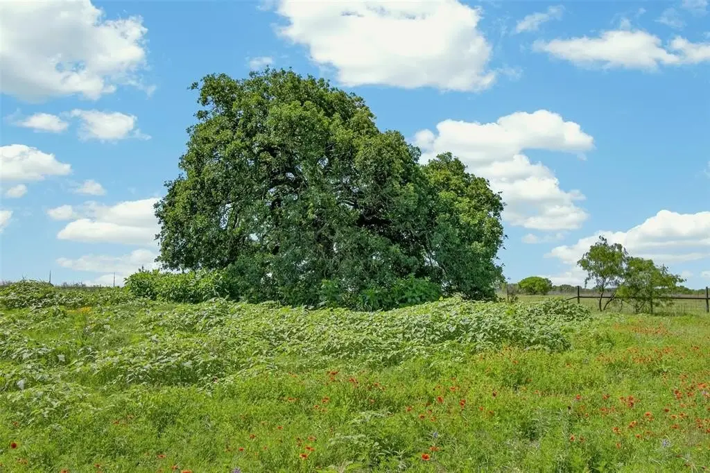 Picture 24