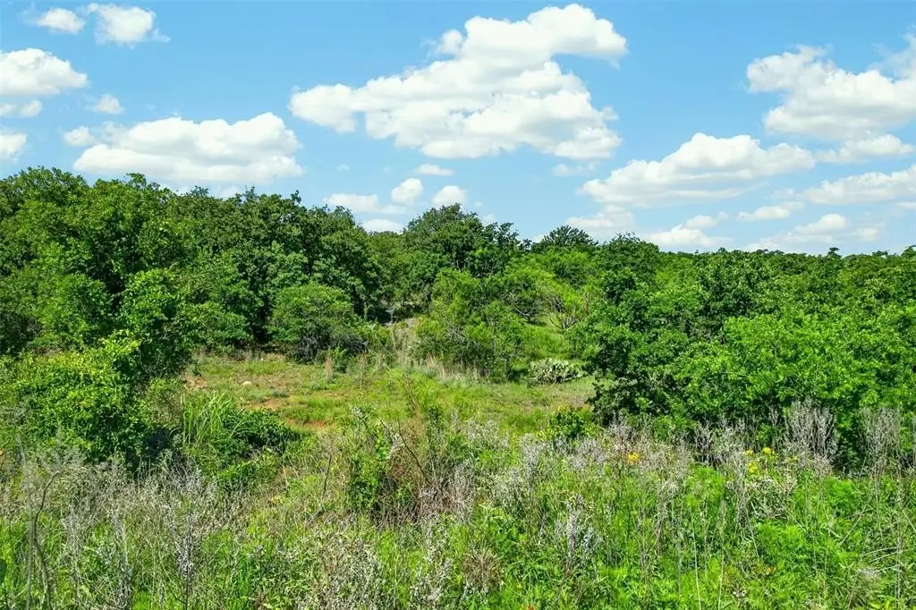 Picture 22