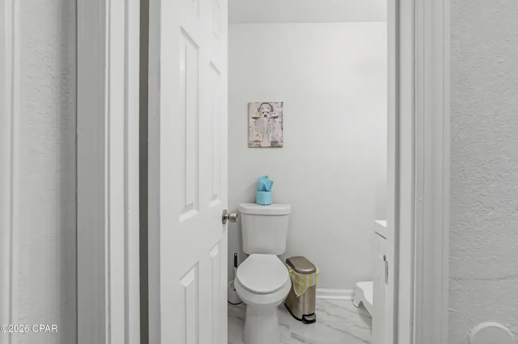 Picture 7