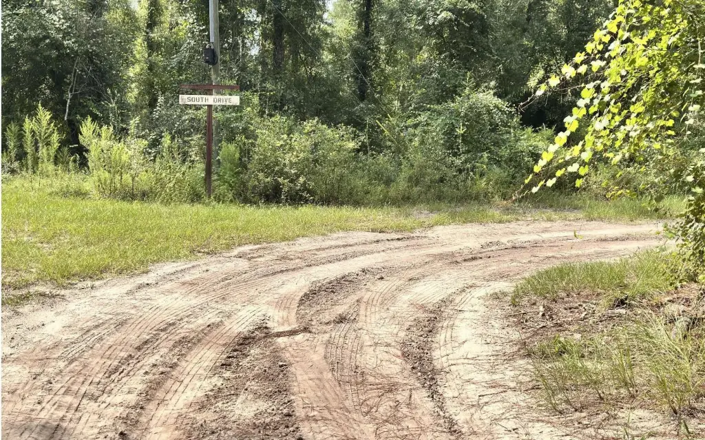 Picture 22