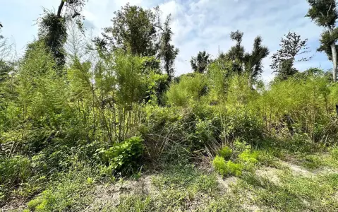 Wooded Land Near River Access