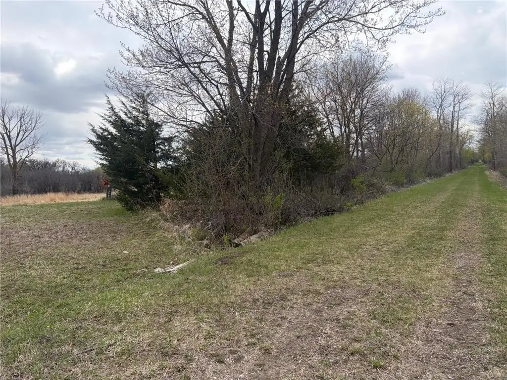 Picture 3