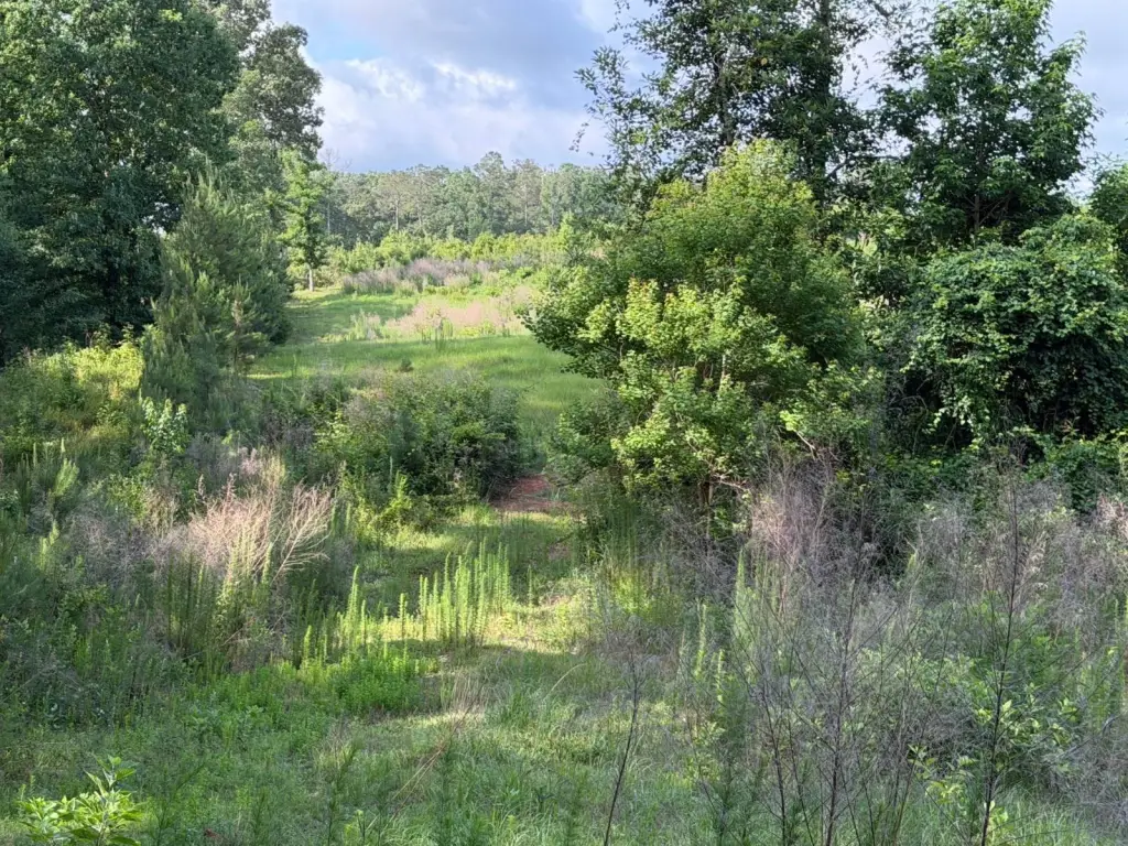 Picture 20