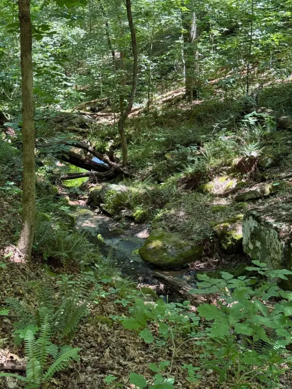 Picture 13