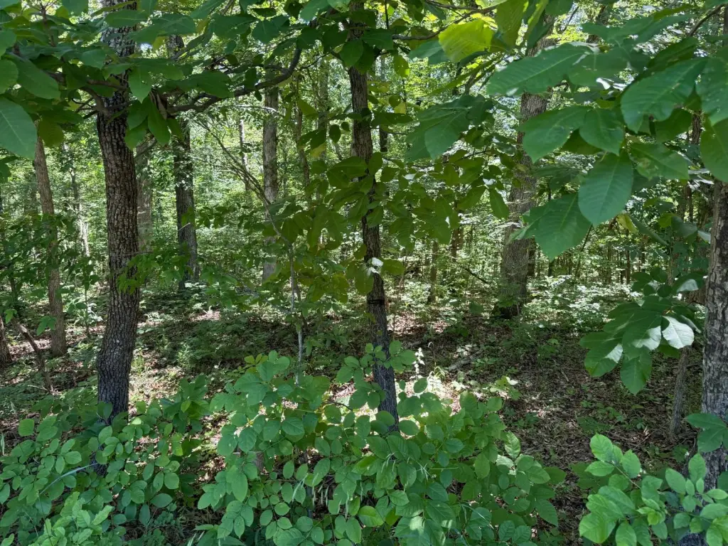 Picture 22