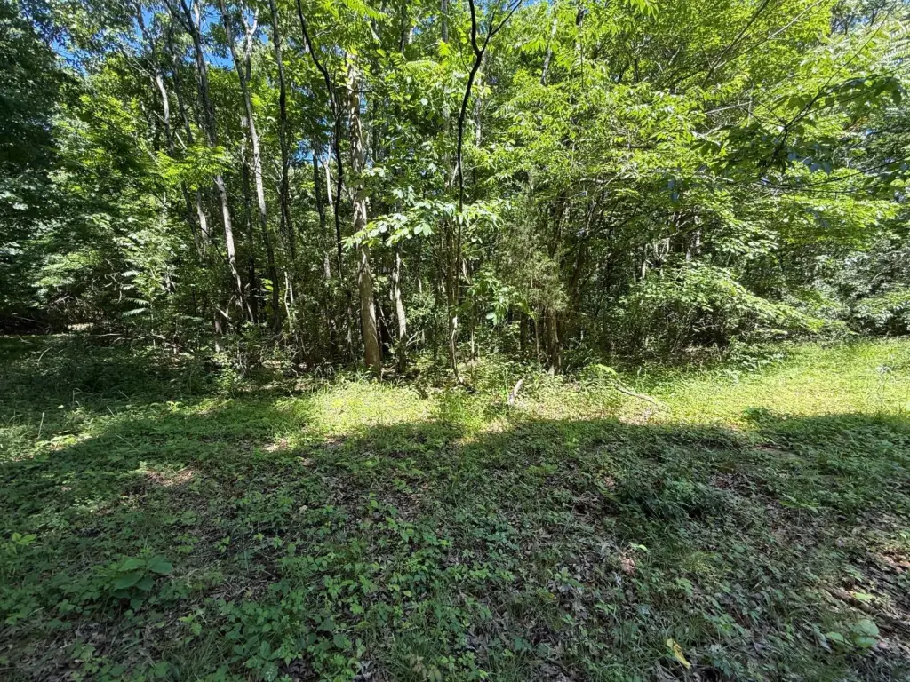 Picture 6