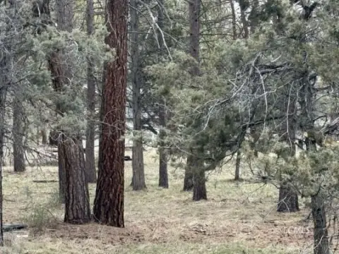 Bonanza, Oregon Vacant Land
