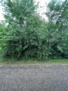 Vacant Land in Sulphur Springs