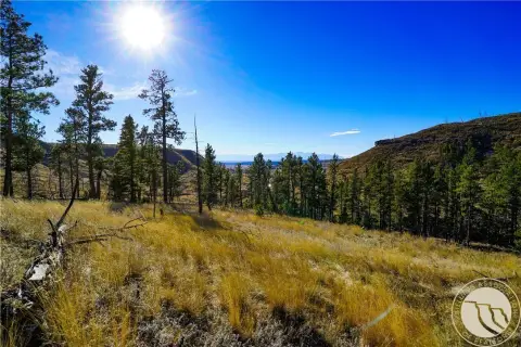20 Acre Mountain Land Parcel