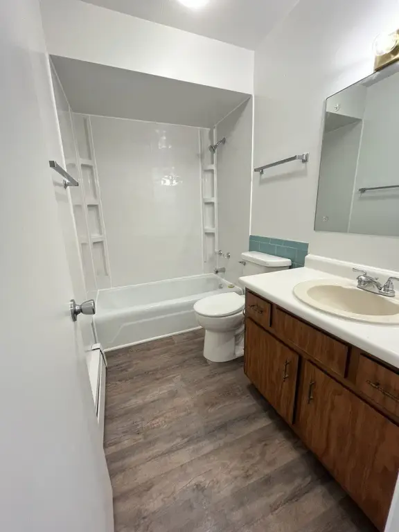 Picture 19