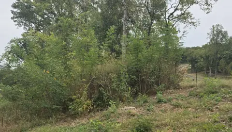 Land with Direct Road Access