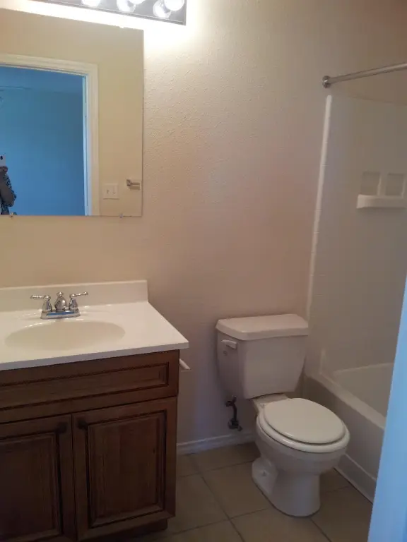 Picture 5