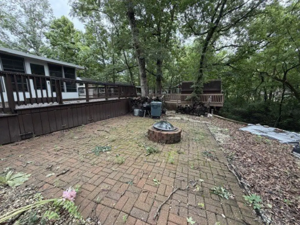 Picture 5