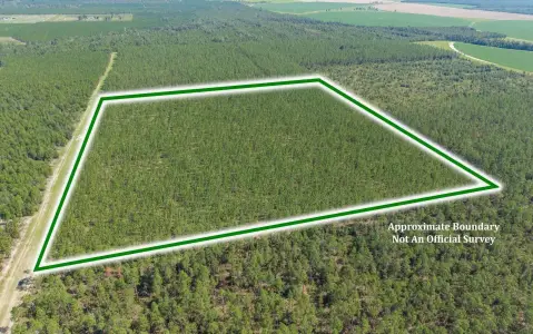 Longleaf Pine Recreation Land