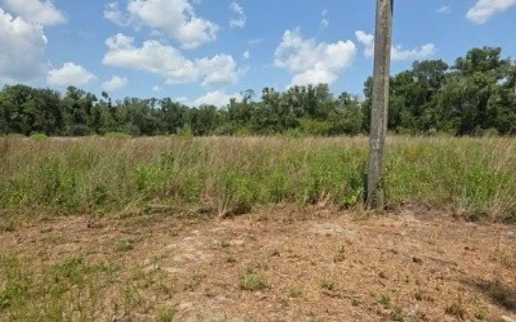 Picture 3