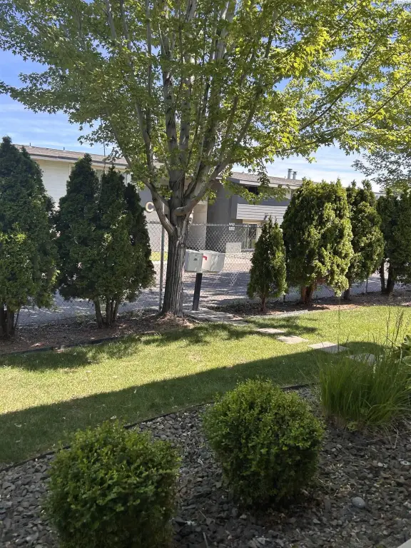 Picture 19