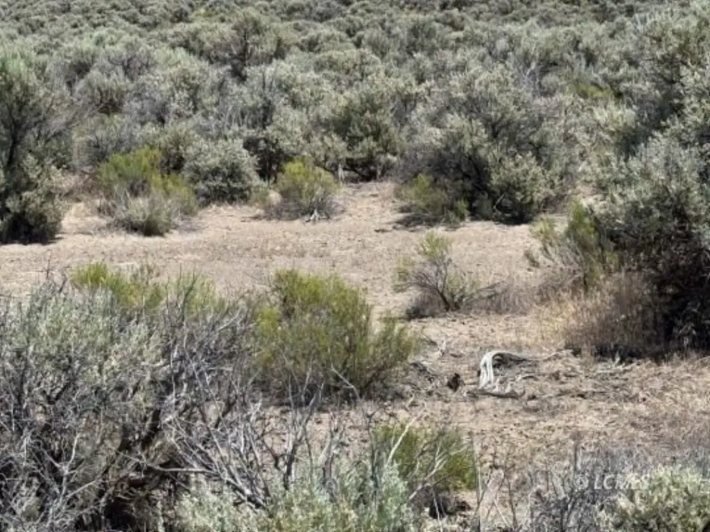 Picture 31