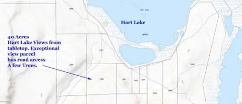 40 Acres Overlooking Hart Lake