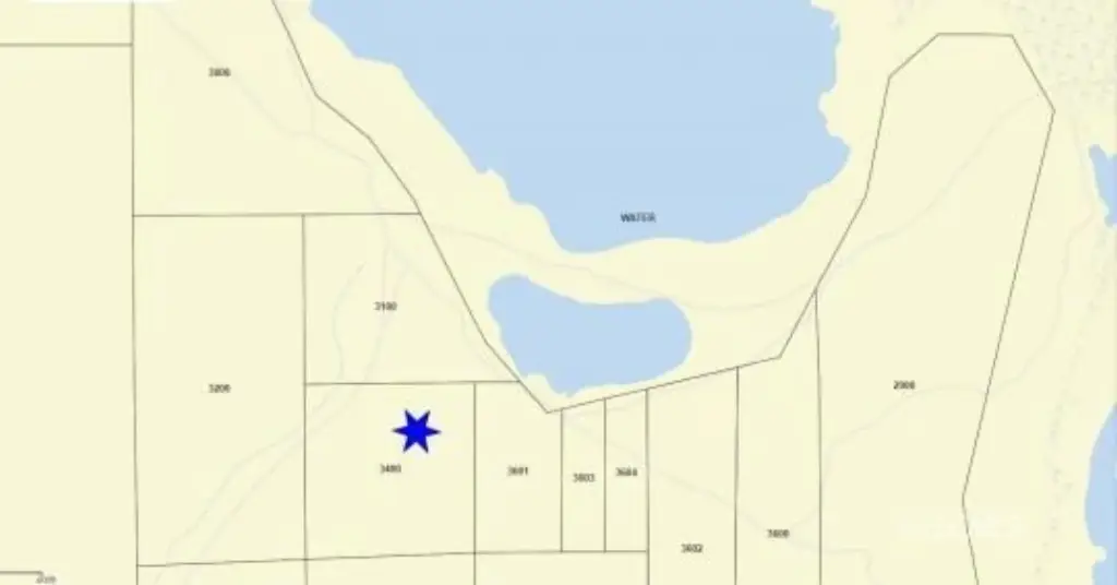 Picture 5