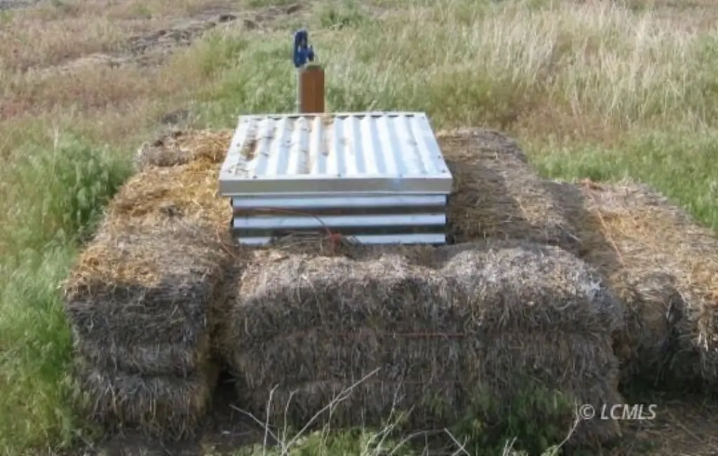 Picture 15