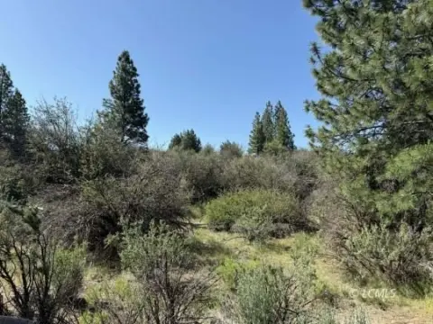 Land with Agency Lake Views