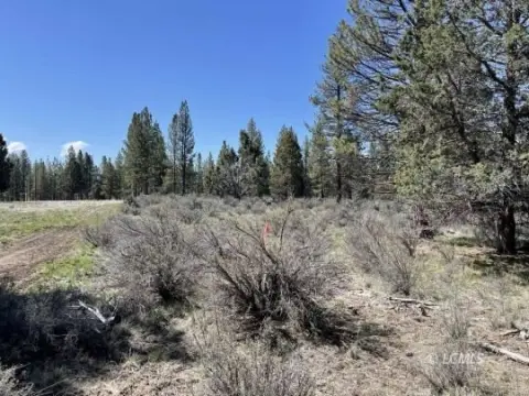 Chiloquin Vacant Land with Zoning