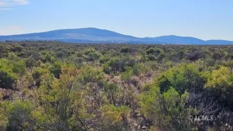 Christmas Valley Vacant Land Parcel