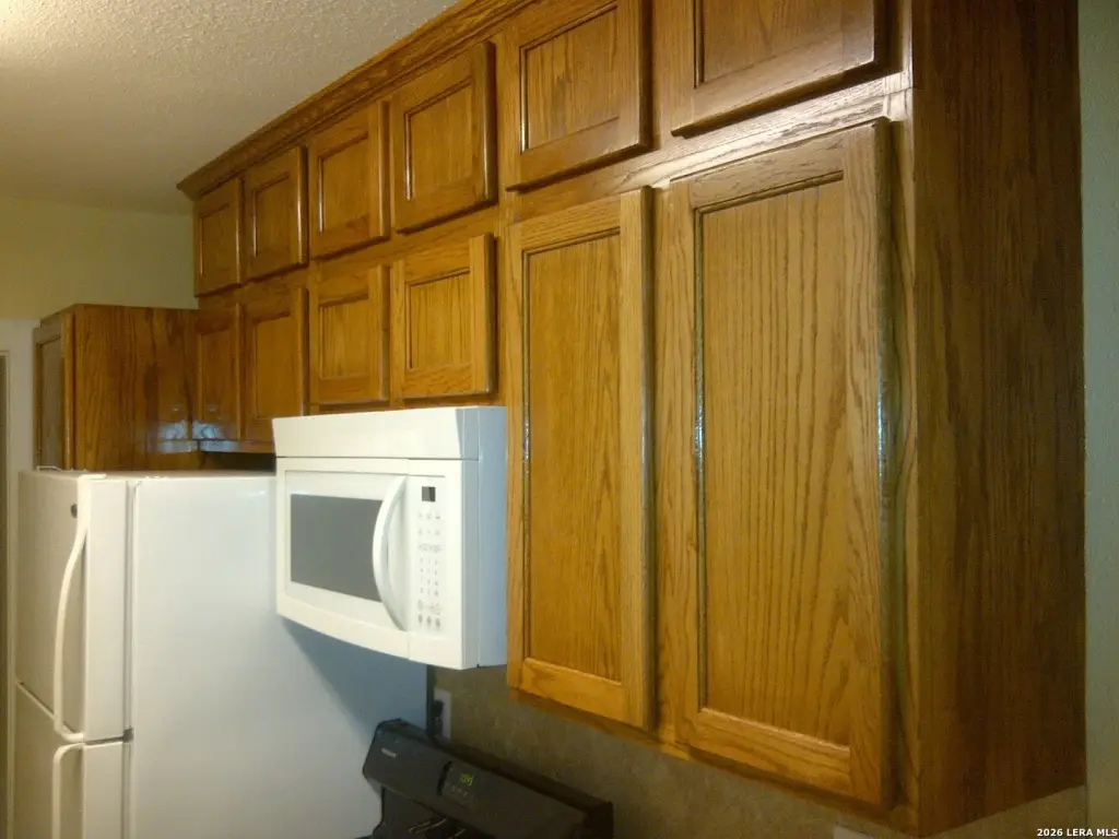 Picture 26