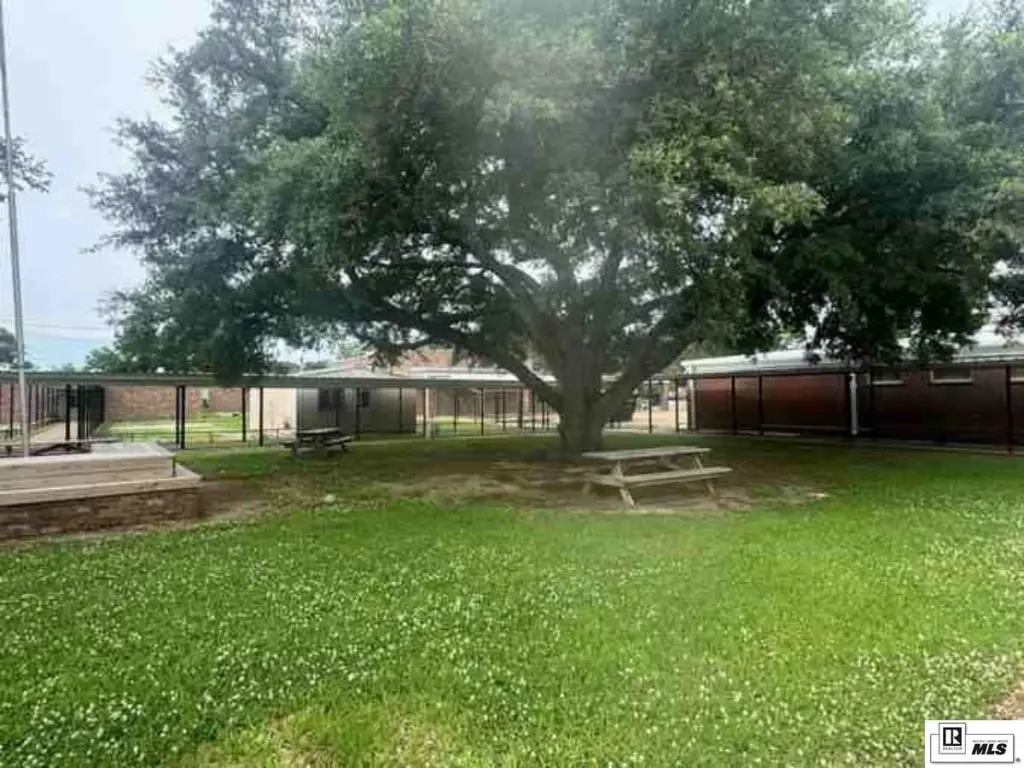 Picture 16