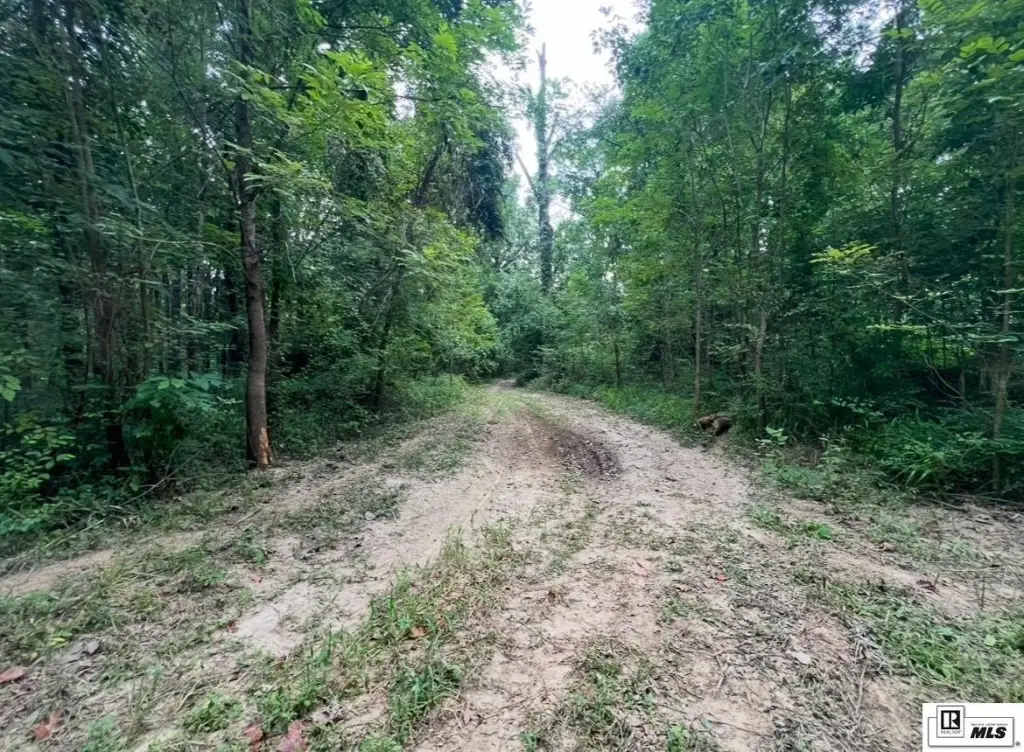 Picture 29