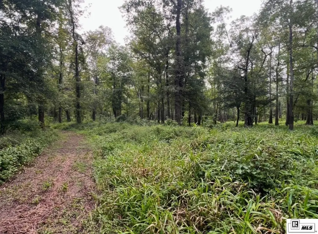 Picture 45