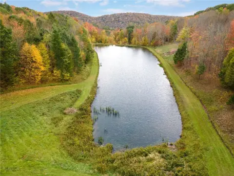 Franklin, NY - 50 Acre Land