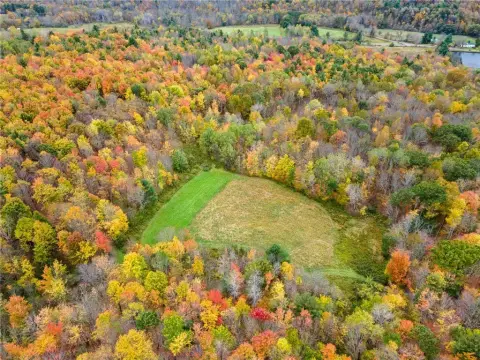 Franklin, NY Wooded Land Parcel