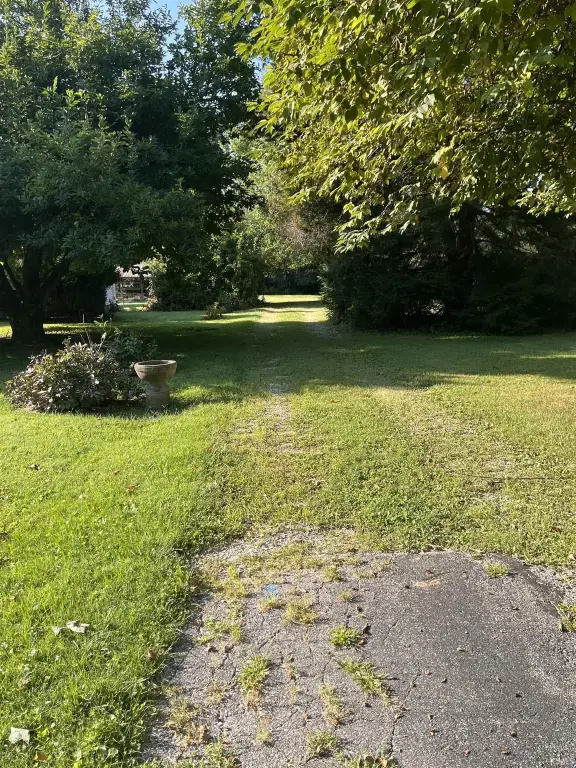 Picture 12