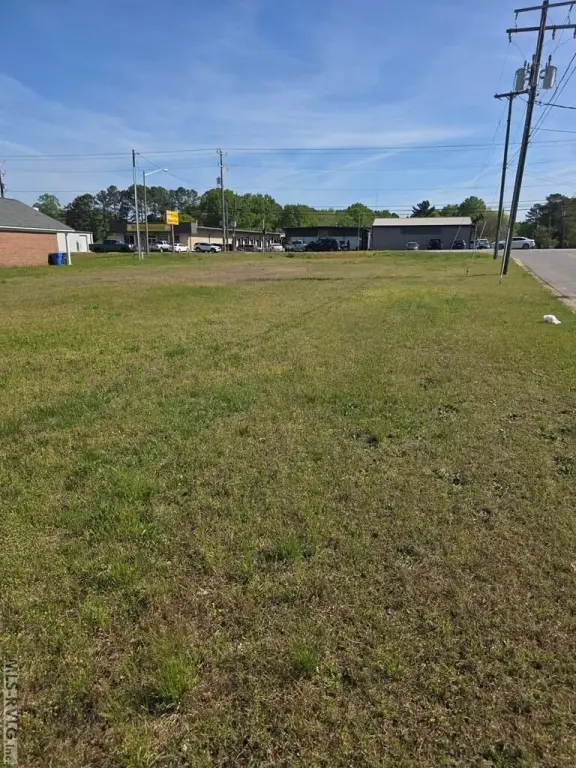 Picture 4