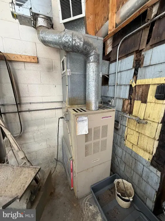 Picture 20