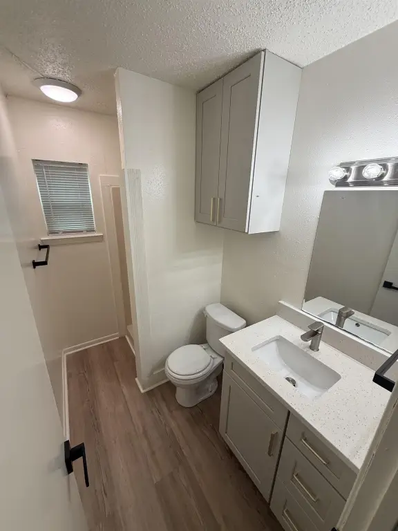 Picture 18