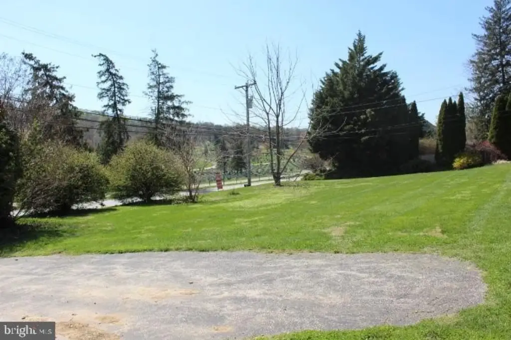 Picture 5