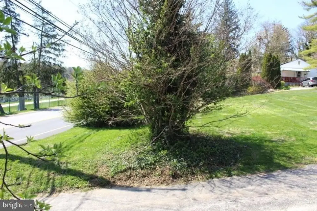 Picture 3