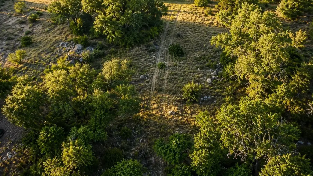 Picture 7