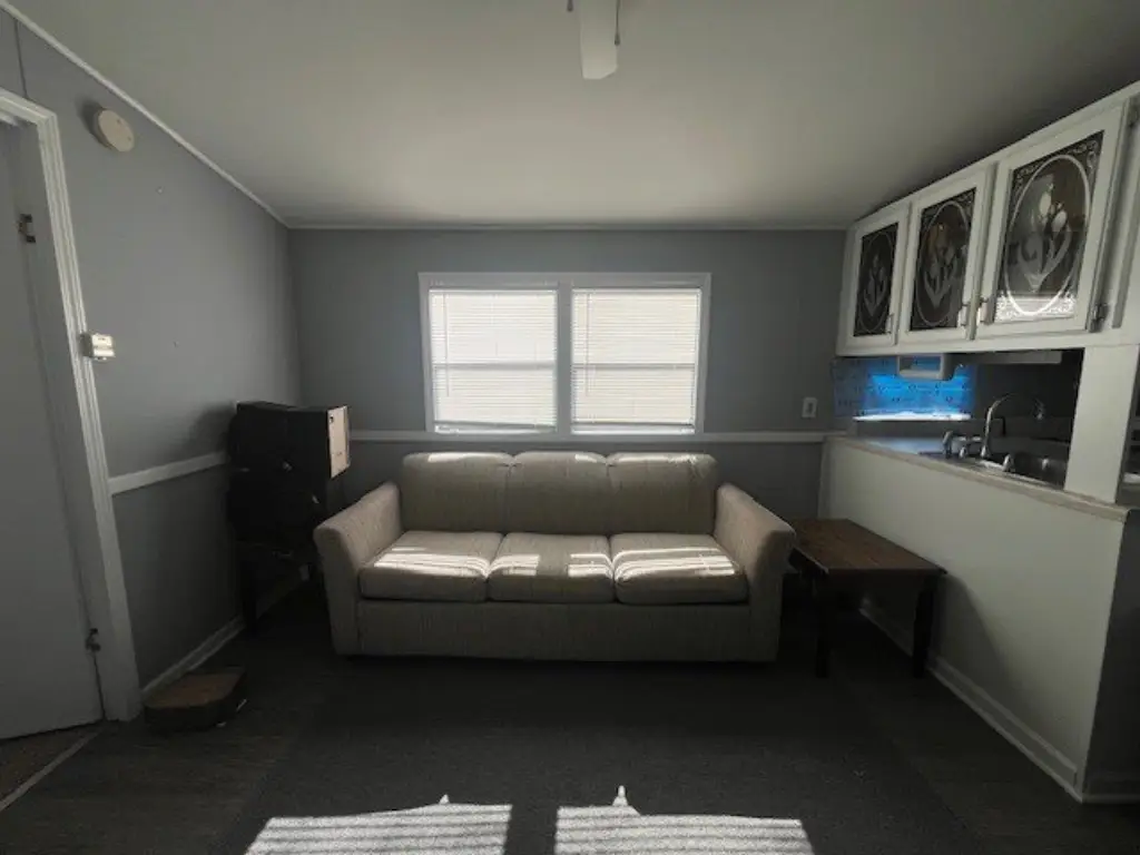 Picture 8